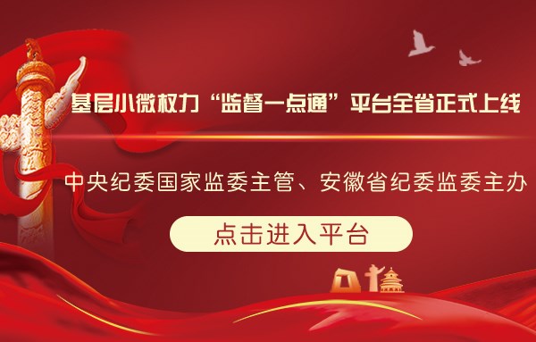 纪委小微权力