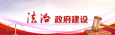 法治政府建设