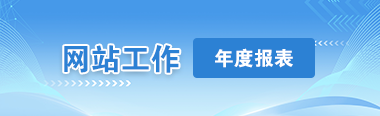 网站工作年度报表