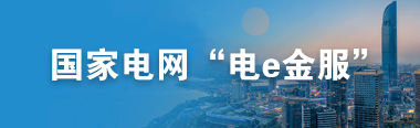 国家电网“电e金服”